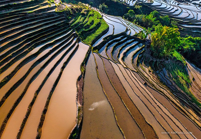 Рисовые поля Юньнань
