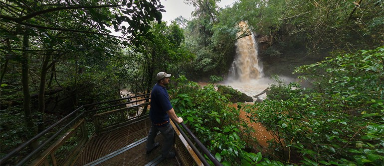 Forest waterfall, 360 video panorama