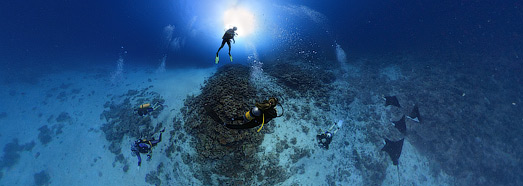 Lume subacvatică din Maldive.  Divers - AirPano.ru • 360 programe de Aerial Panorama 3D • Tururi Virtuale din întreaga lume