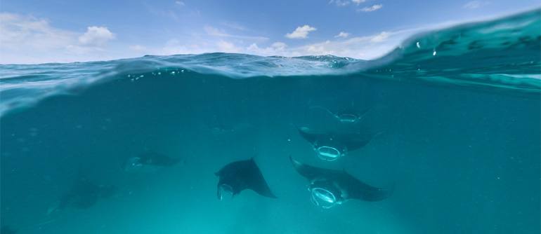 ,  - AirPano.ru  360    3D    