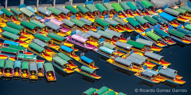 Boats in the harbor