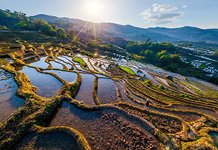 Yuanyang rice terraces #18