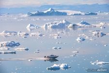 На катере в Гренландии На катере в Гренландии