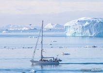 Yacht in water of Greenland