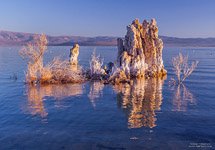 Mono Lake #3