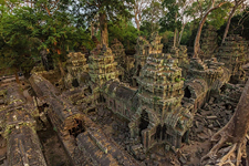 Ta Prohm temple, Angkor, Cambodia #4