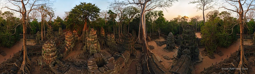 Храм Та-Пром, Ангкор, Камбоджа №1