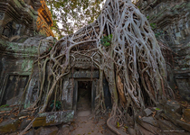 Храм Та-Пром, Ангкор, Камбоджа №6