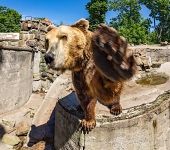 В зоопарке В зоопарке