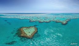 The Great Barrier Reef #27