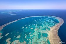 The Great Barrier Reef #35