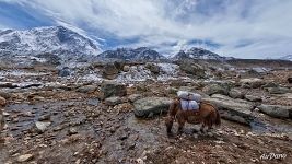 Як у поселения Лобуче Як у поселения Лобуче