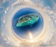 Falhumaafushi Island. Planet