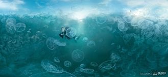 In gulf of jellyfishes