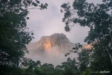 Angel Falls