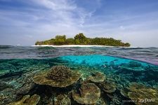 Ананасовый остров, Мальдивы