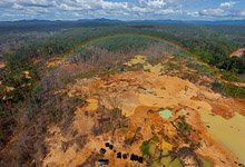 Venezuela, surroundings Angel Falls, Gold-field