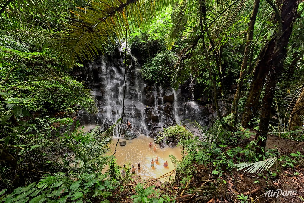 Forest waterfall