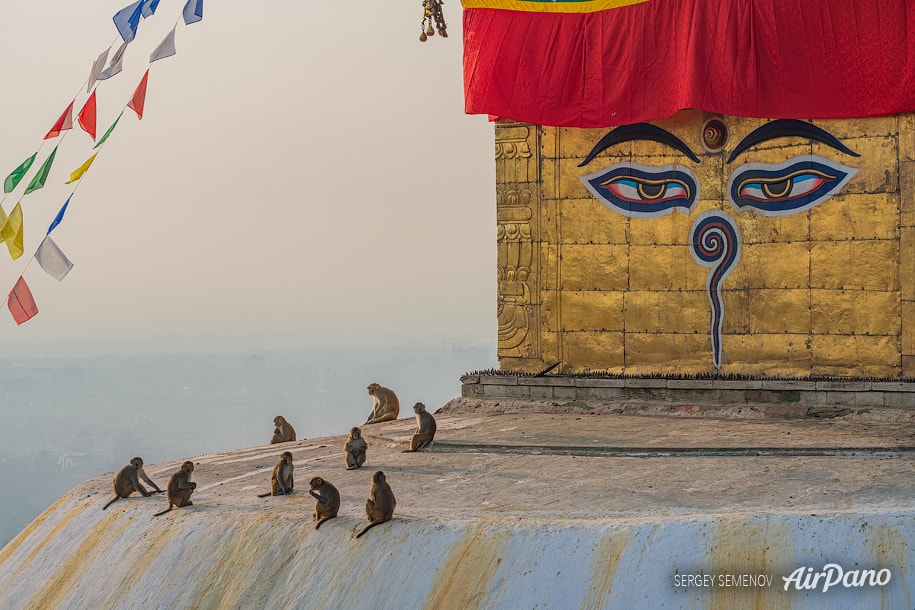 Monkey temple
