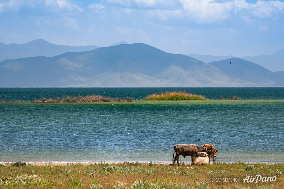 Озеро Севан. Армения 