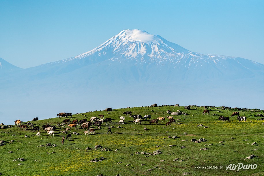 Гора Арарат