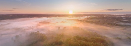 Брянский лес туманным утром. Россия