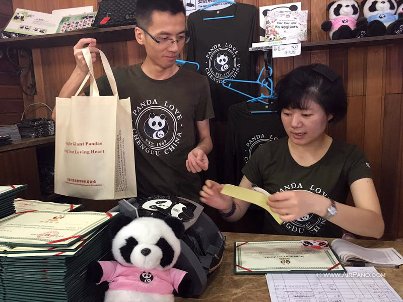 Заповедник изучения и разведения больших панд в Чэнду, Китай