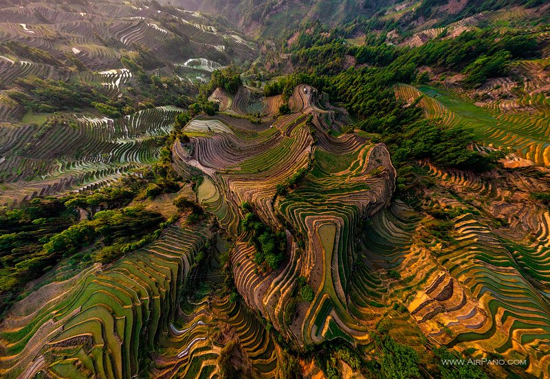 Рисовые поля Юньнань