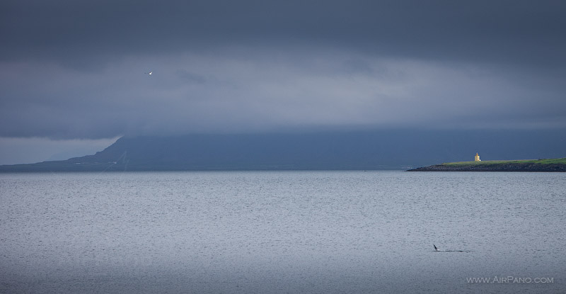 Reykjavik harbour