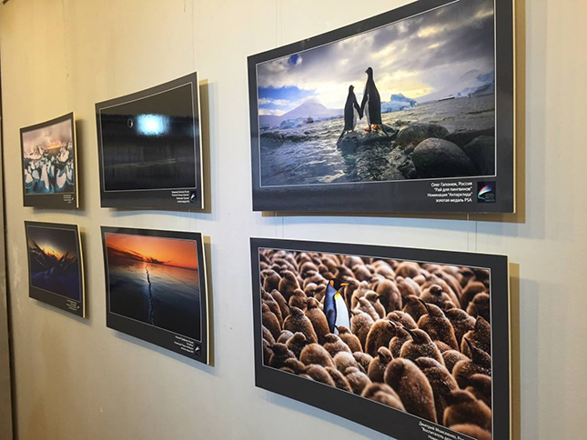 AirPano на выставке Global Arctic Awards AirPano на выставке Global Arctic Awards