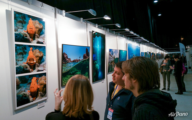 Moscow Dive Show 2017