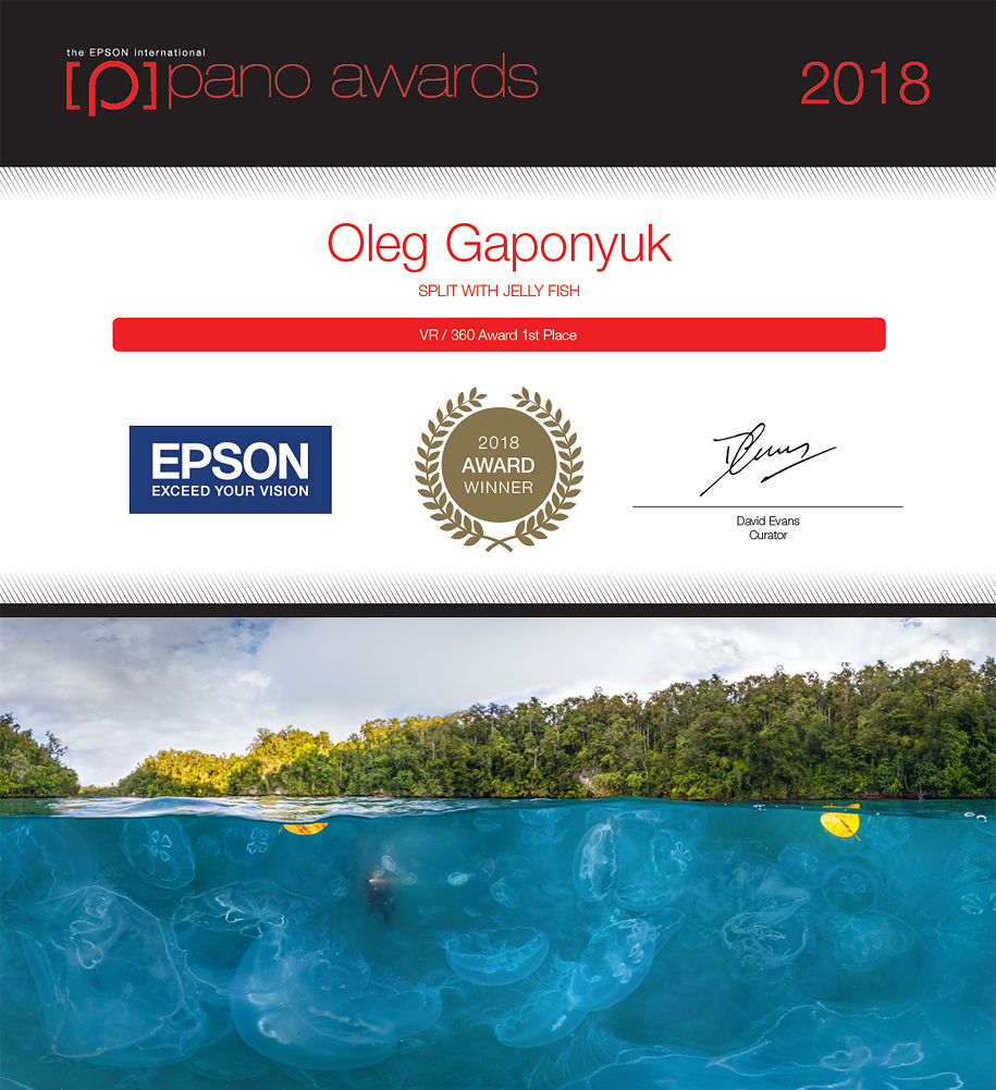 Панорама-победитель конкурса Epson International Pano Awards 2018