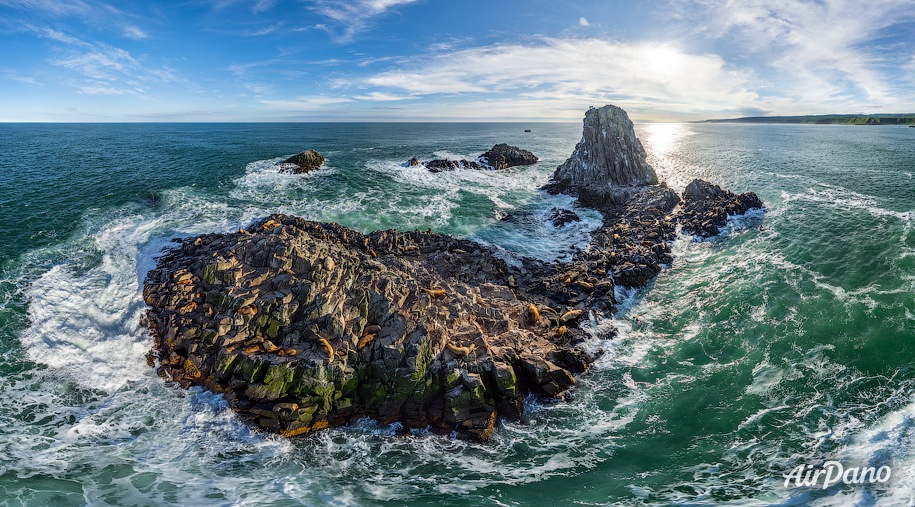 Камень Козлова — островок-лежбище сивучей