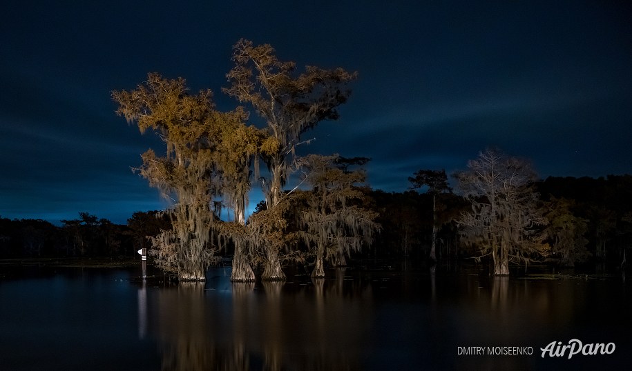 Кипарисовые болота, Луизианна-Техас, США