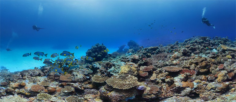 Underwater Shooting on the Maldives. Coral reefs | 360° Aerial ...