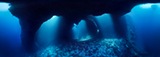 Blue Holes, Палау 