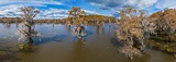 Кипарисовые болота, Луизианна-Техас, США