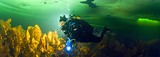 Белое море. Первая в мире сфера подо льдом
