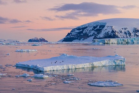 Antarctica, Part II