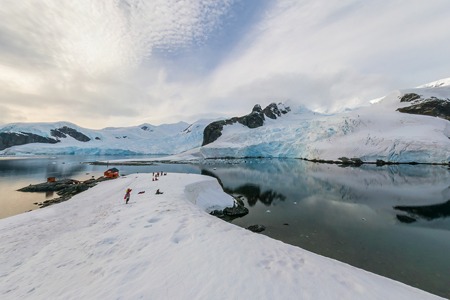 Антарктическая биеннале