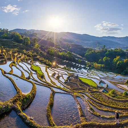 Рисовые поля Юньнань, Китай