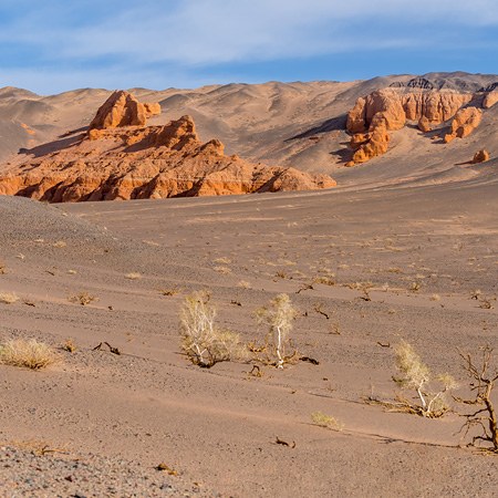 صحرای گوبی، مغولستان