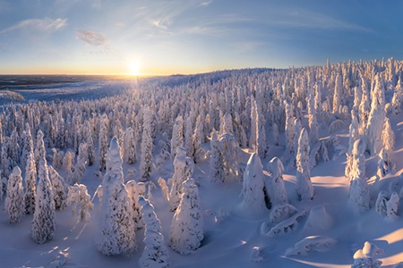 Зимняя сказка. Лапландия, Финляндия