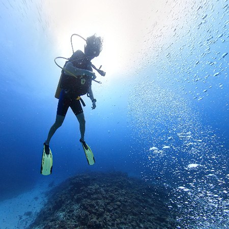 Подводный мир Мальдив. Дайверы 