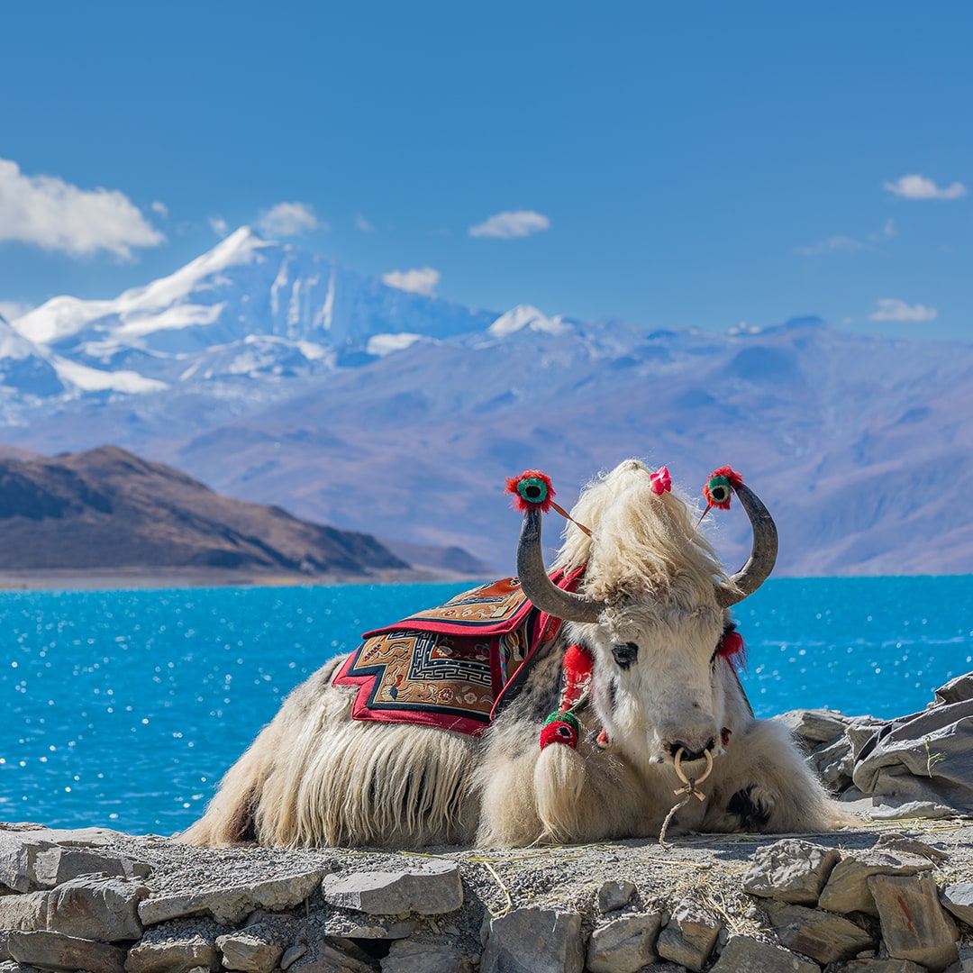 Озеро Ямдрок Юмцо, Тибет