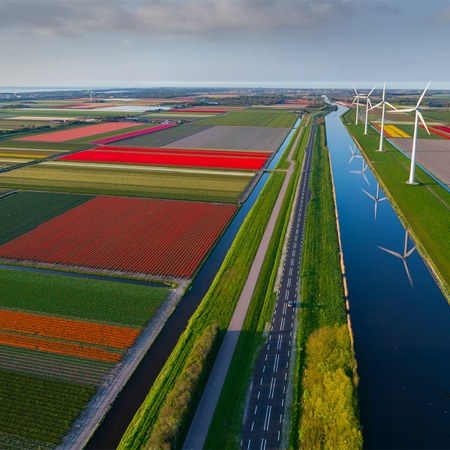 Голландия — страна тюльпанов