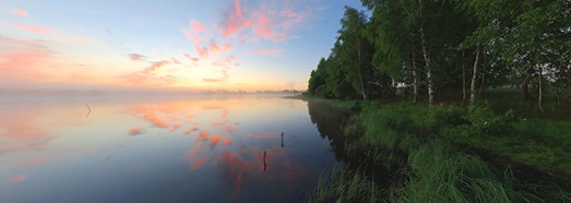 Времена года. Весенний лес. Релакс