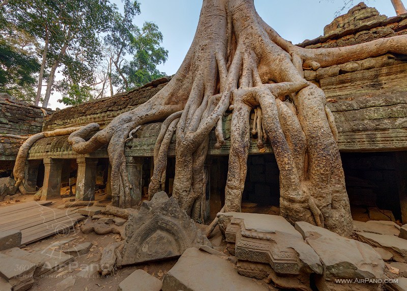 Храм Та-Пром и корни деревьев