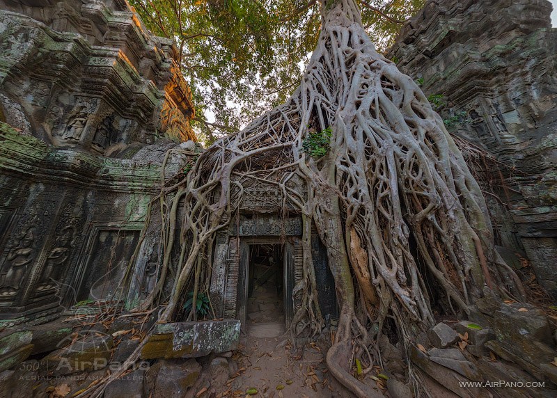 Ta Prohm temple