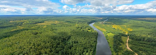 Времена года. Лето. Релакс полет
